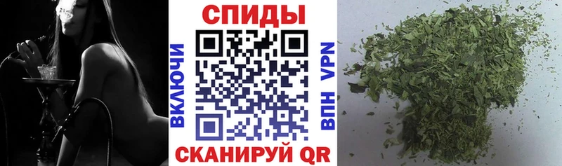 где можно купить Острогожск mega маркетплейс Бутират оксана