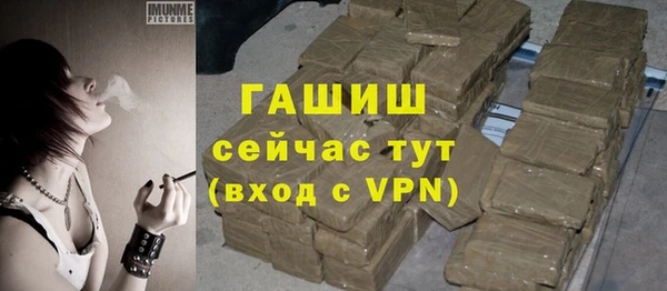 индика Дмитровск