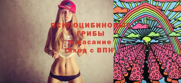 индика Дмитровск