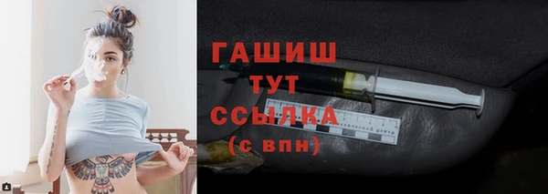 индика Дмитровск