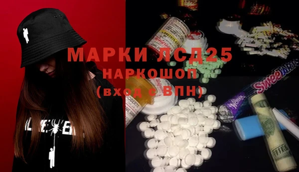 индика Дмитровск