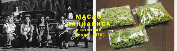 индика Дмитровск