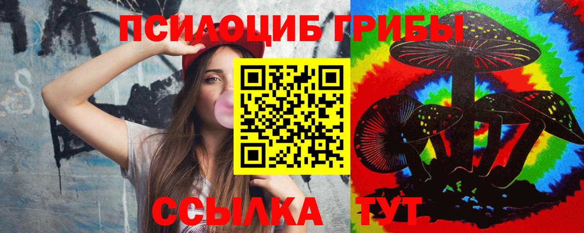 Псилоцибиновые грибы GOLDEN TEACHER  Вход с VPN  Острогожск 