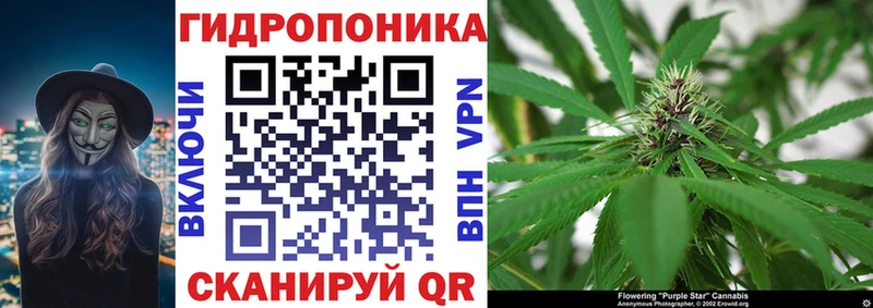 Бошки марихуана THC 21%  Острогожск 